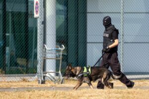 Customs and border protection officer andspecial force participates with a specialized dog in a training at the airport for searching and seizing of illegal drugs.