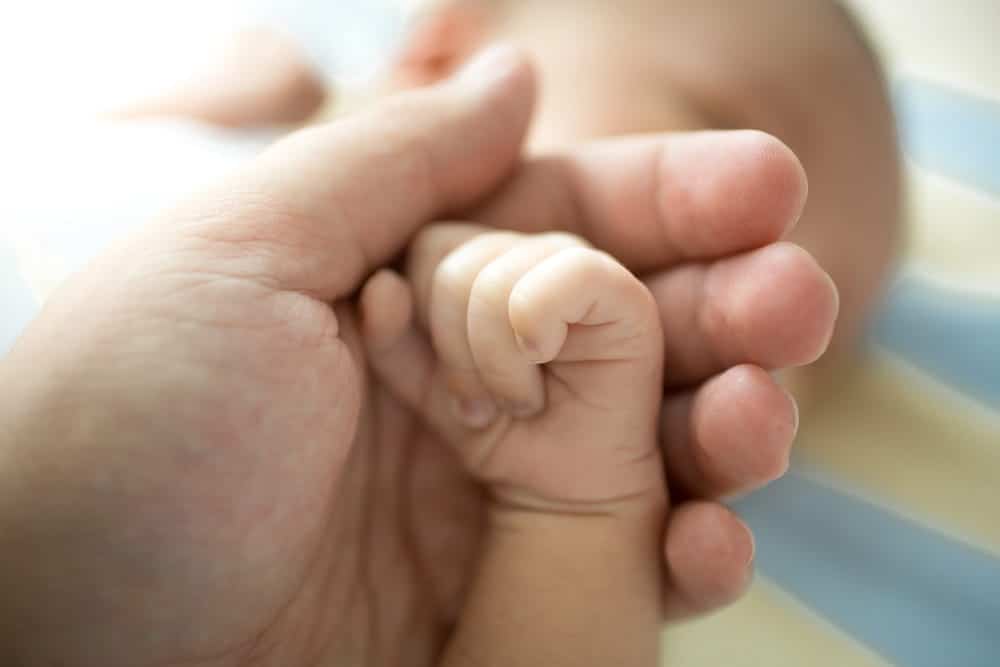 Image is of a newborn baby holding an adult hand, concept of Franklin adoption lawyer.